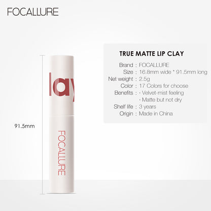 Focallure True Matte Liquid Lipstick FA179 #204