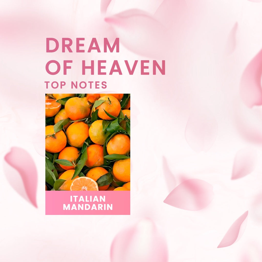 Lilith and Eve Parfum Dream of Heaven 6.0 | 30ml