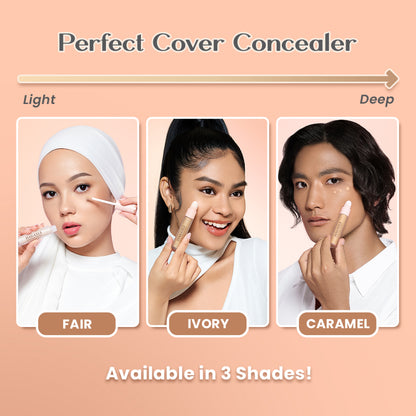 HANASUI Perfect Cover Concealer Fair 01 | 4.5 gr