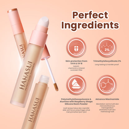 HANASUI Perfect Cover Concealer Fair 01 | 4.5 gr