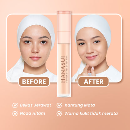 HANASUI Perfect Cover Concealer Fair 01 | 4.5 gr